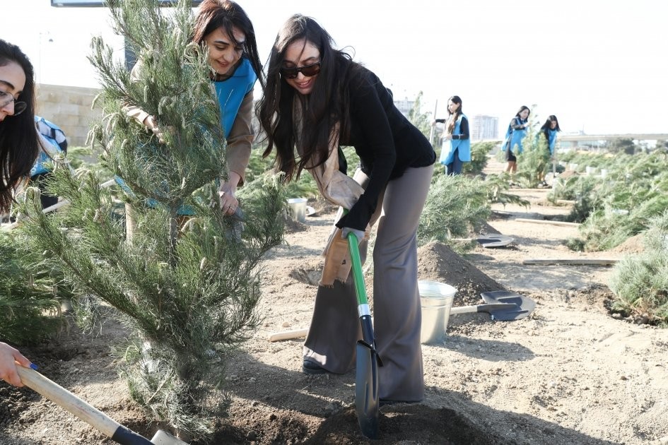 Лейла Алиева приняла участие в акции по посадке деревьев в Низаминском районе (ФОТО)