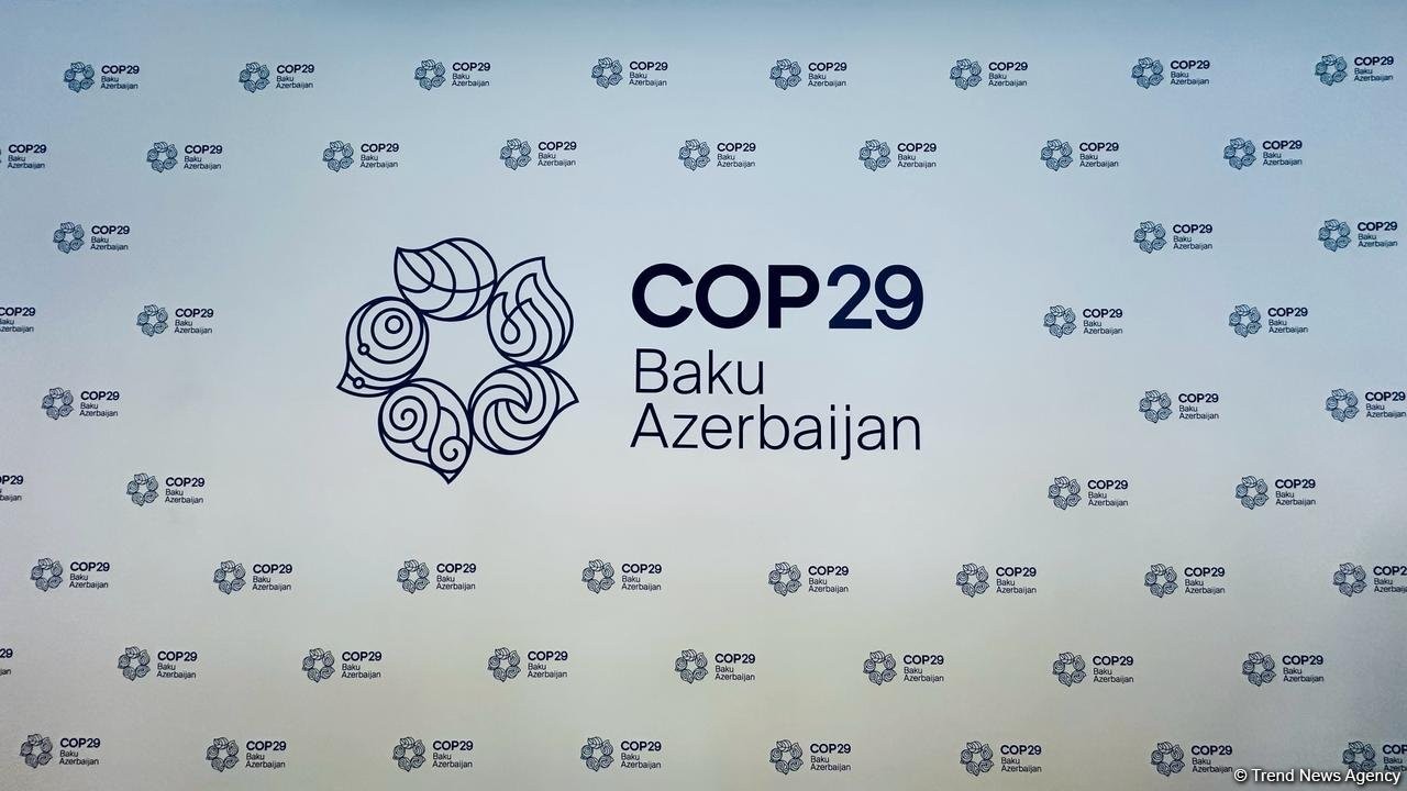 Представлен логотип COP29 (ФОТО)