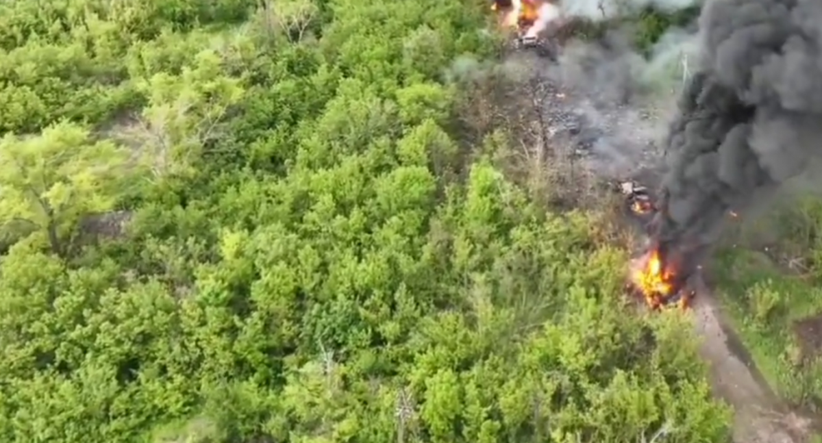 Украинские войска уничтожили колонну российских морпехов на Донбассе (ВИДЕО)