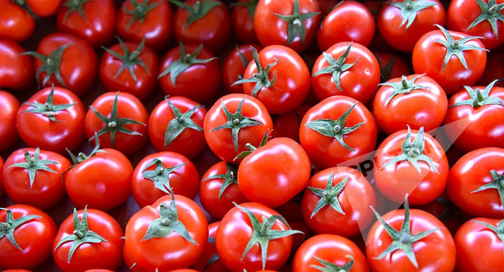 Еще 7  азербайджанским предприятиям разрешили ввозить помидоры в Россию