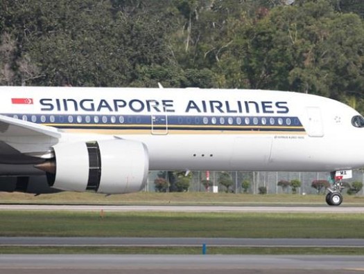 Сингапурский самолет экстренно сел в Баку